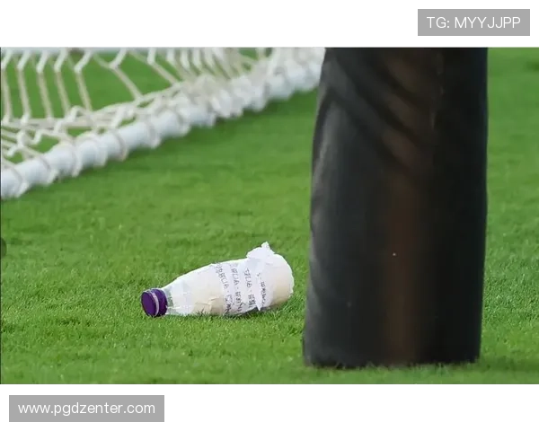 探索PG游戏备用平台的多重优势与使用技巧，提升您的游戏娱乐体验